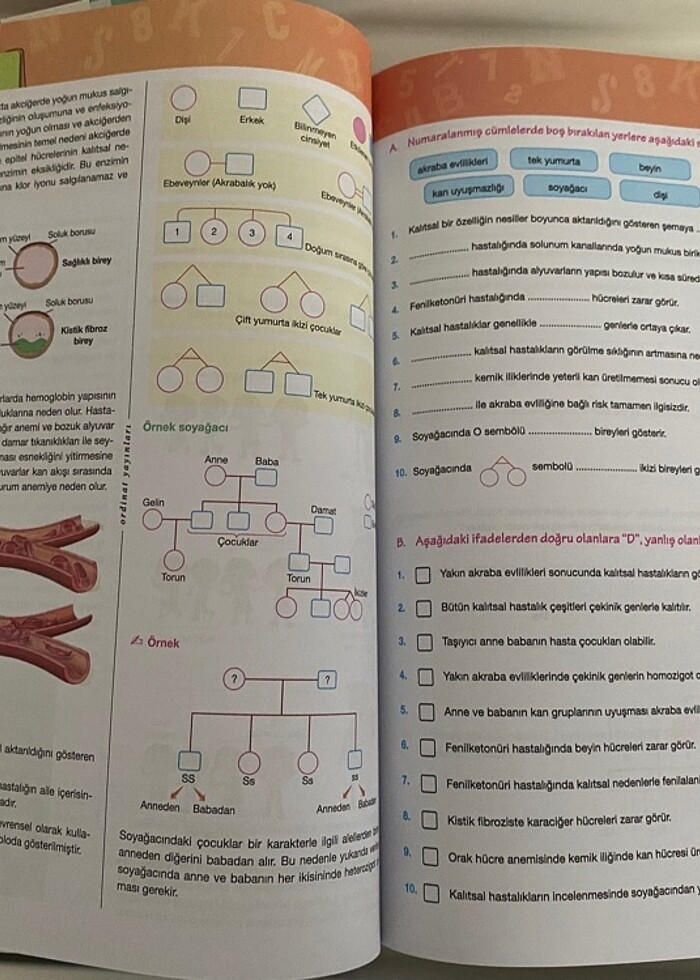 10. SINIF KİMYA BİYOLOJİ ordinat yayınları - Görsel 3