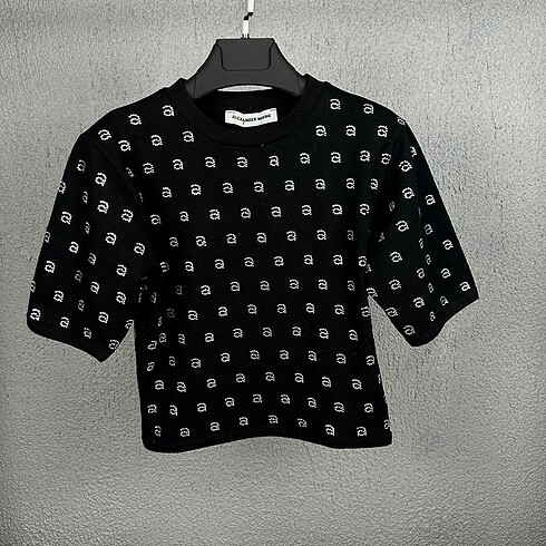 Alexander Wang TAŞLI WANG TİŞÖRT