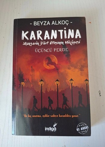 Beyza Alkoç - Karantina Roman Serisi - Görsel 4