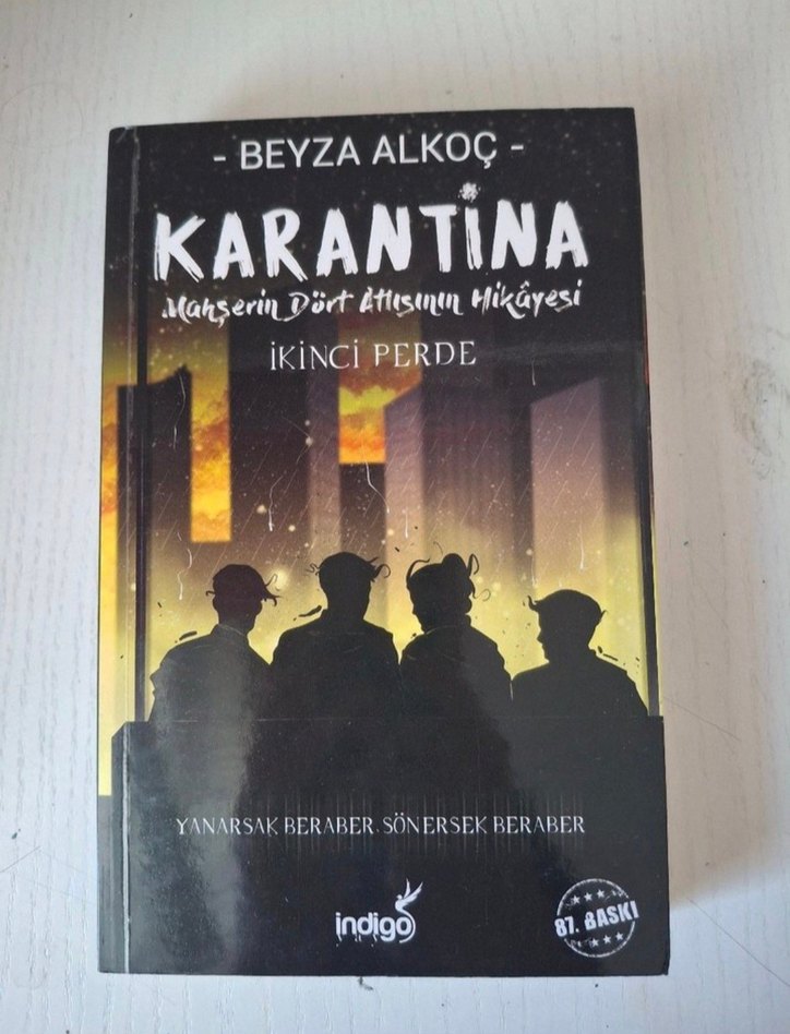 Beyza Alkoç - Karantina Roman Serisi - Görsel 3