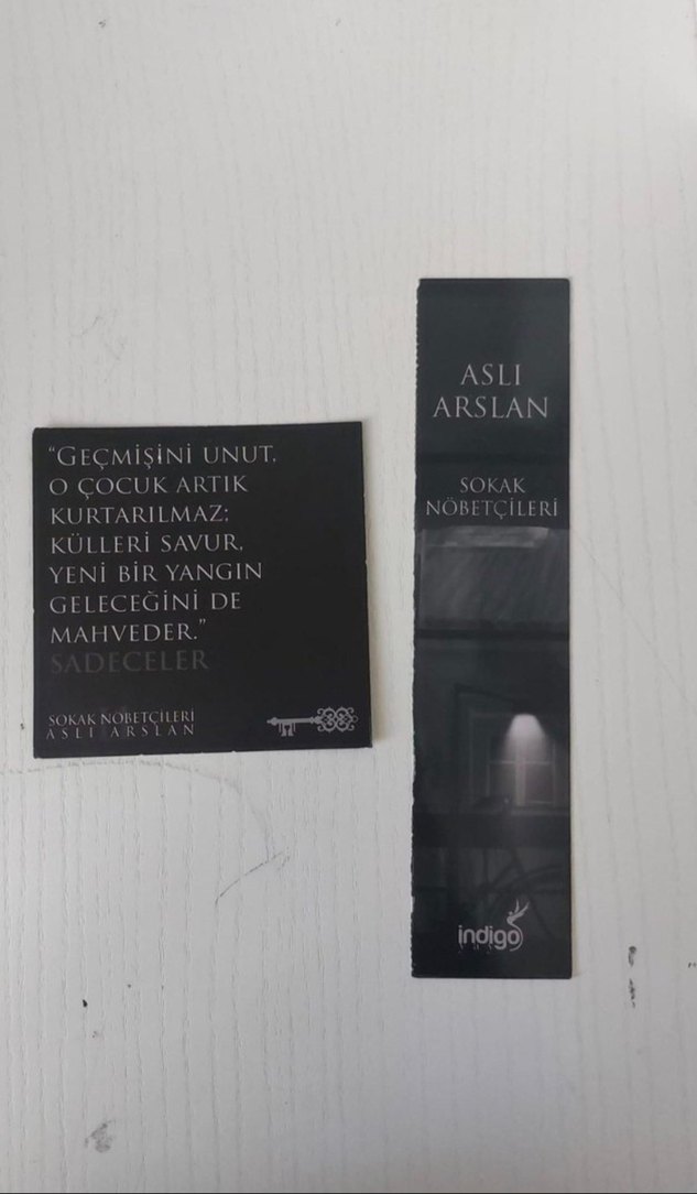 Sokak Nöbetçileri - Asli Arslan - Görsel 4