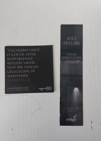 Sokak Nöbetçileri 1 ve 2 - Aslı Arslan - Görsel 4