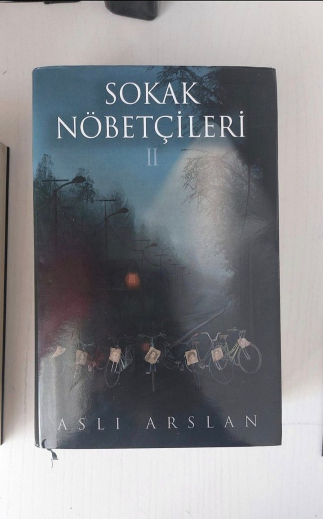 Sokak Nöbetçileri 1 ve 2 - Aslı Arslan - Görsel 3