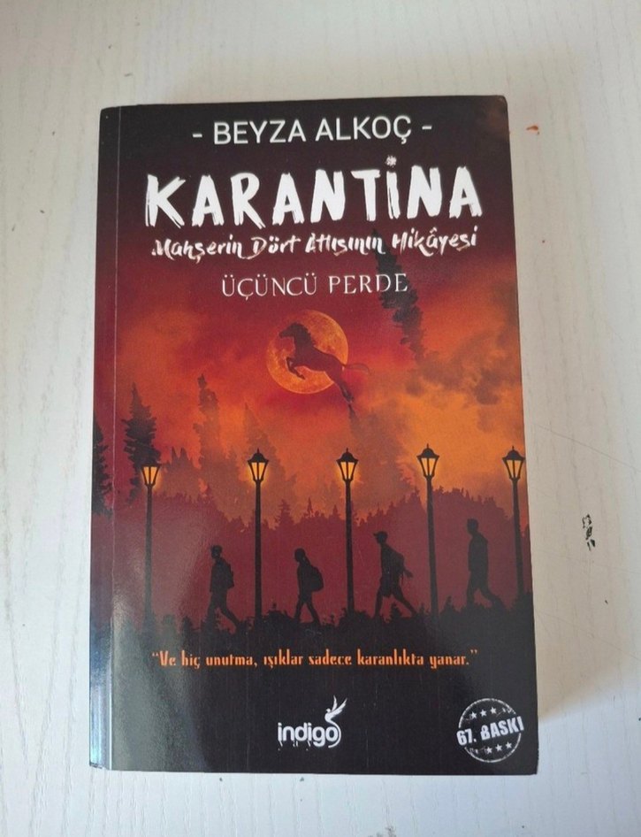 Beyza Alkoç - Karantina Roman Seti - Görsel 4