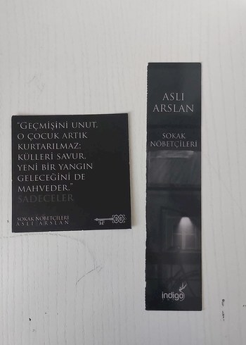 Sokak Nöbetçileri I-II - Aslı Arslan - Görsel 4