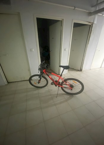 Diğer Dag Bisikleti
