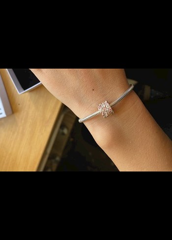 Pandora bileklik ve charm - Görsel 5