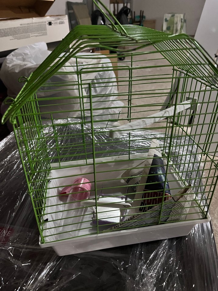 Yeşil Kuş Kafesi - Görsel 2