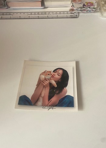Diğer Lisa polo card