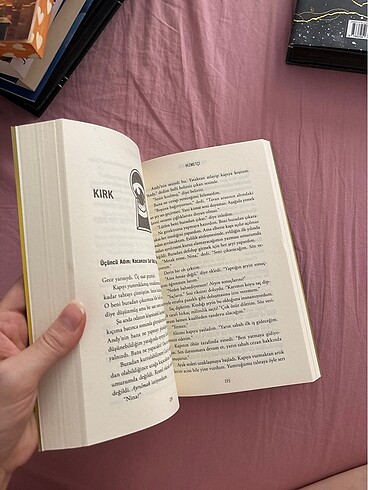  Beden Renk Freida Mcfaden Hizmetçi adlı kitabı
