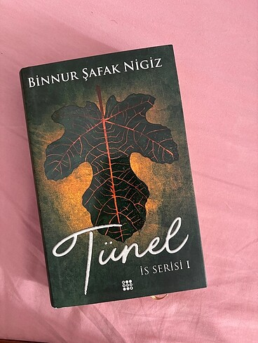  Binnur Şafak Nigiz İs serisi #kitap #roman