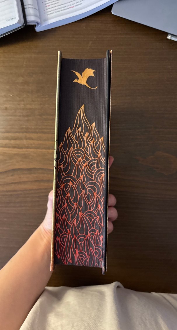 Dördüncü Kanat - Rebecca Yarros ciltli - Görsel 2