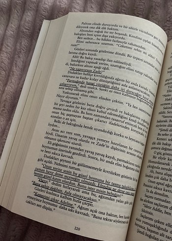 Adeline'in Peşinde Roman Seti - H.D. Carlton - Görsel 8