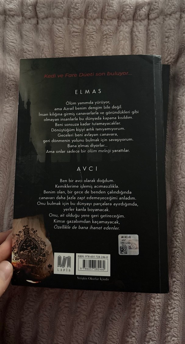 Adeline'in Peşinde Roman Seti - H.D. Carlton - Görsel 5