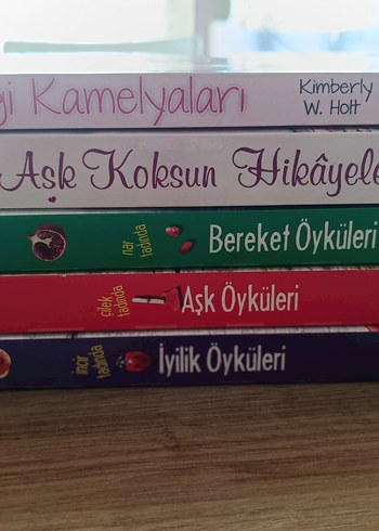 Başlıca Romanlar Seti - Görsel 14