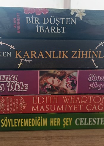 Başlıca Romanlar Seti - Görsel 16