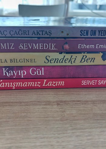 Başlıca Romanlar Seti - Görsel 8