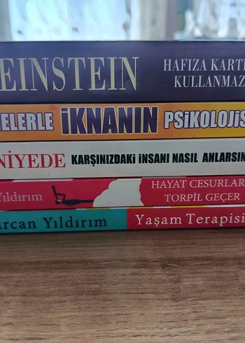 Başlıca Romanlar Seti - Görsel 10