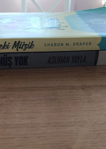 Başlıca Romanlar Seti - Görsel 18