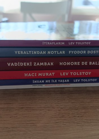 Başlıca Romanlar Seti - Görsel 13