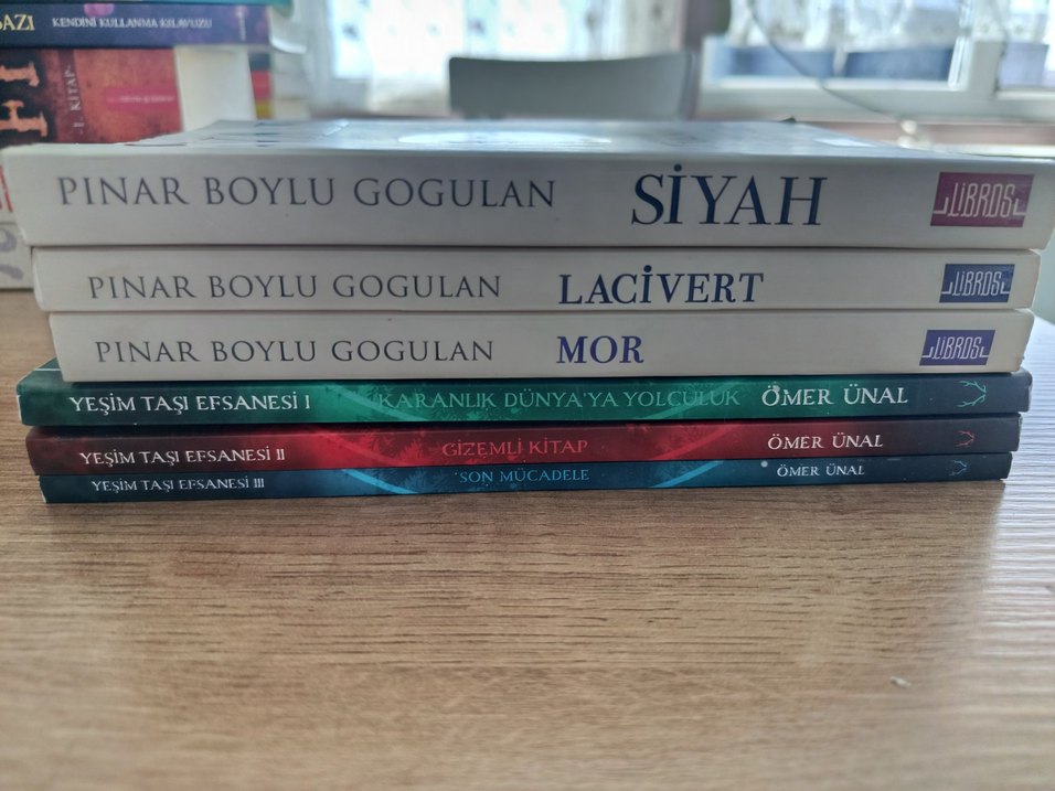 Başlıca Romanlar Seti - Görsel 5