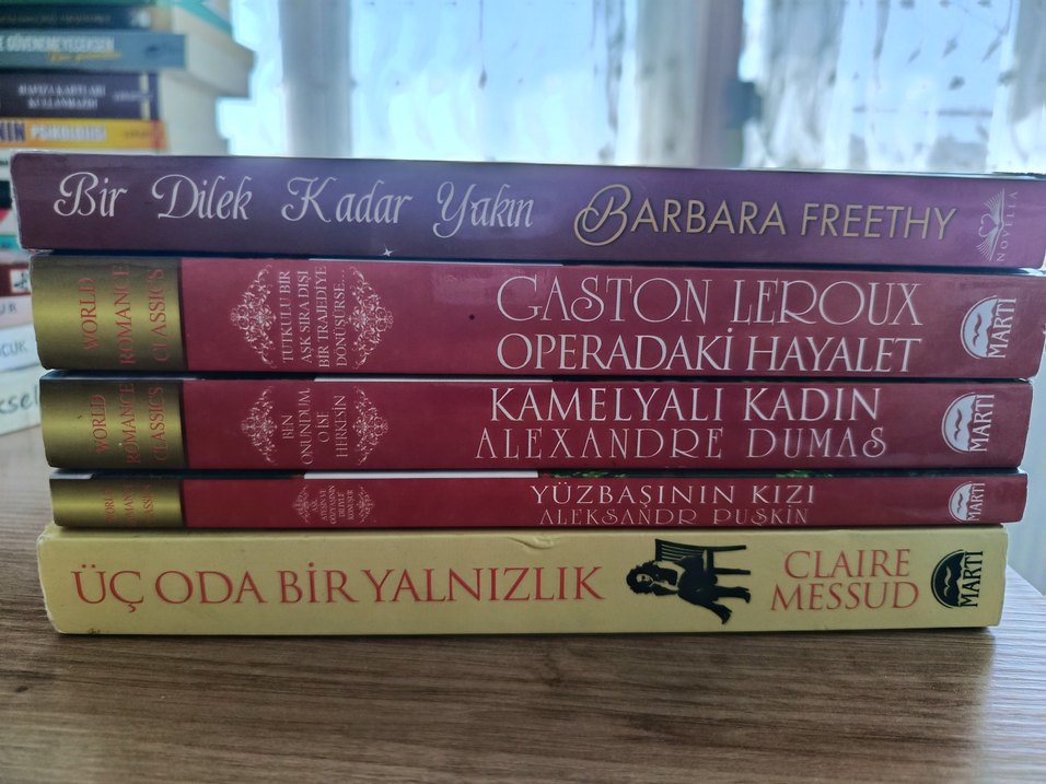 Başlıca Romanlar Seti - Görsel 3