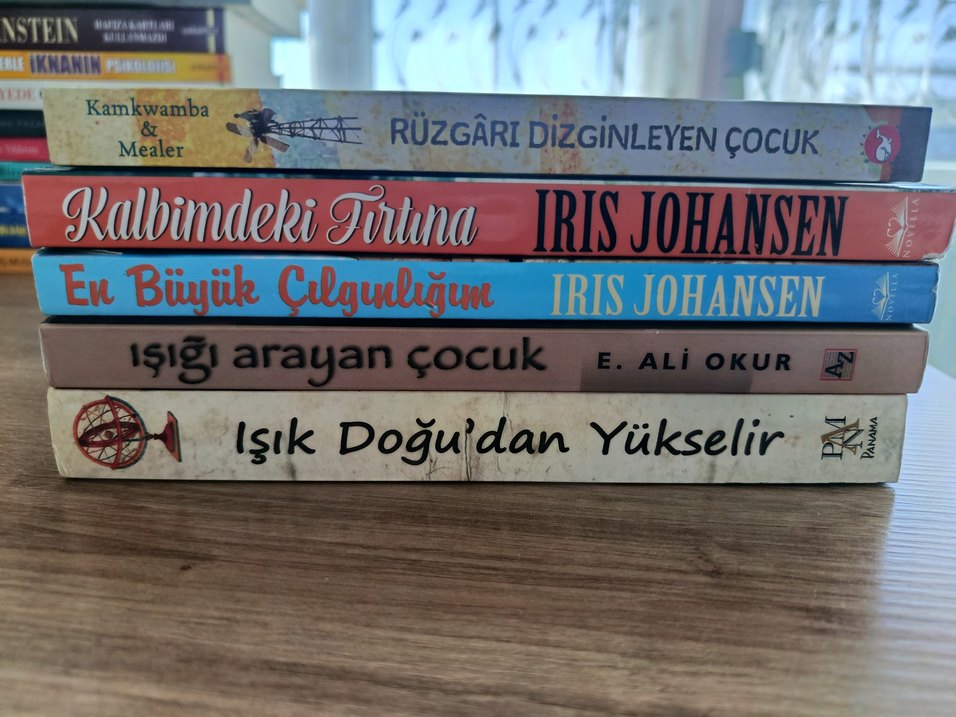 Başlıca Romanlar Seti - Görsel 4