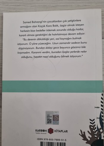 Küçük Kara Balık - Samed Behrengi - Görsel 2