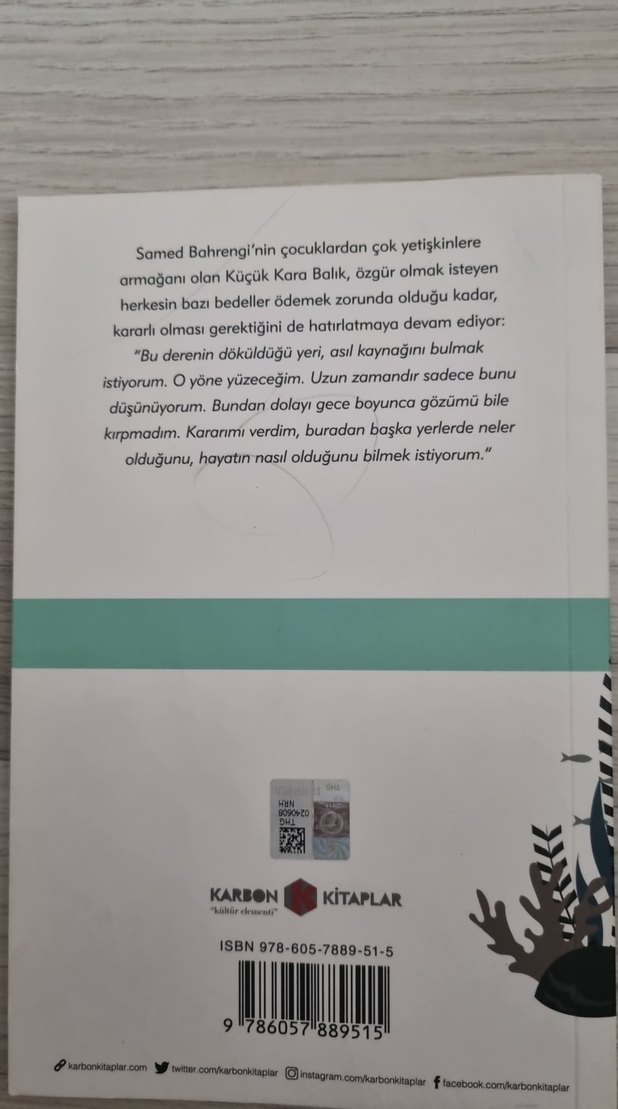 Küçük Kara Balık - Samed Behrengi - Görsel 2