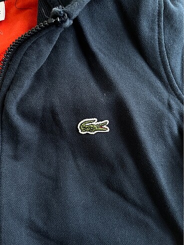 Lacoste Lacoste Kapüşonlu Hırka