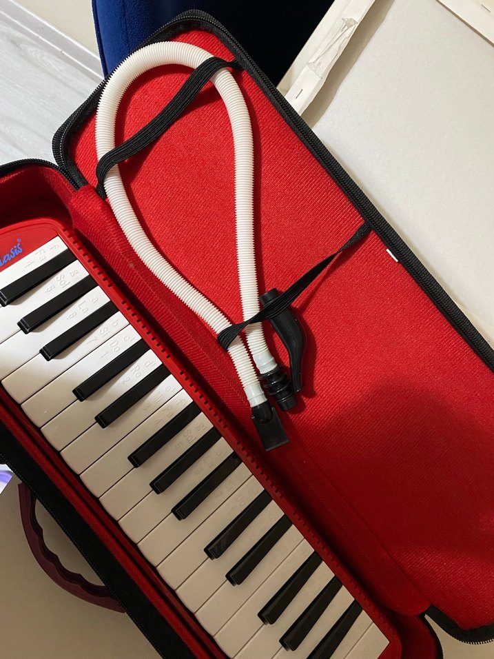 Melodika - Görsel 2