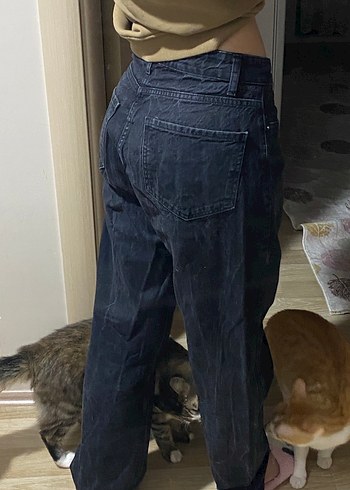 Diğer Baggy