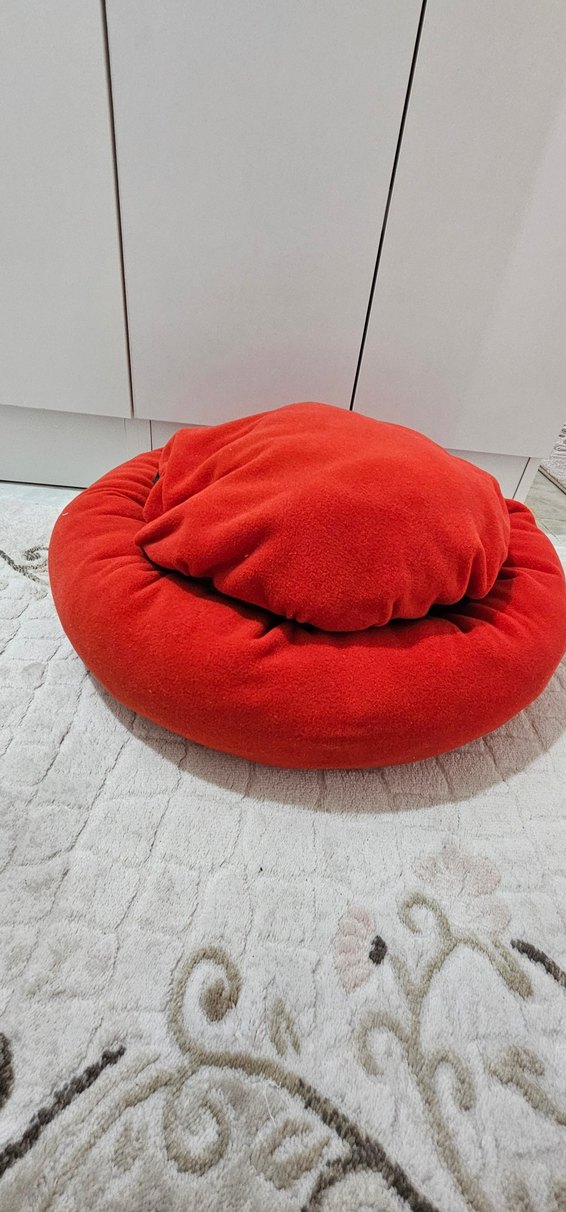 Kırmızı Kedi Yatağı ve Tüy Tarağı - Görsel 2