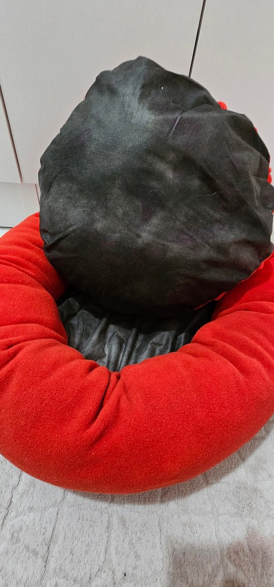 Kırmızı Kedi Yatağı ve Tüy Tarağı - Görsel 3