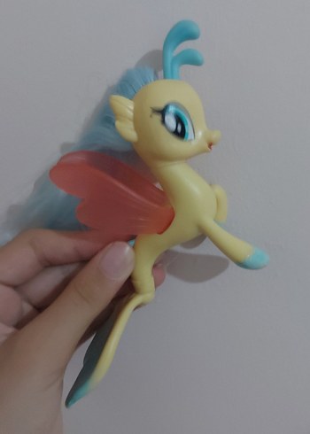 Skystar deniz pony'si - Görsel 6