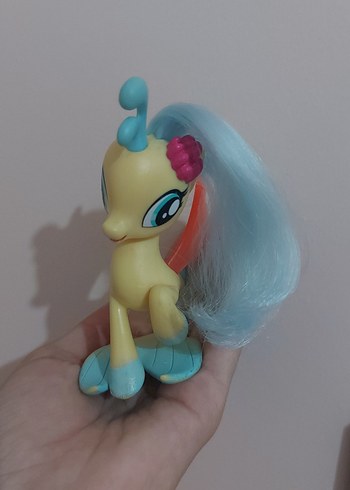 Skystar deniz pony'si