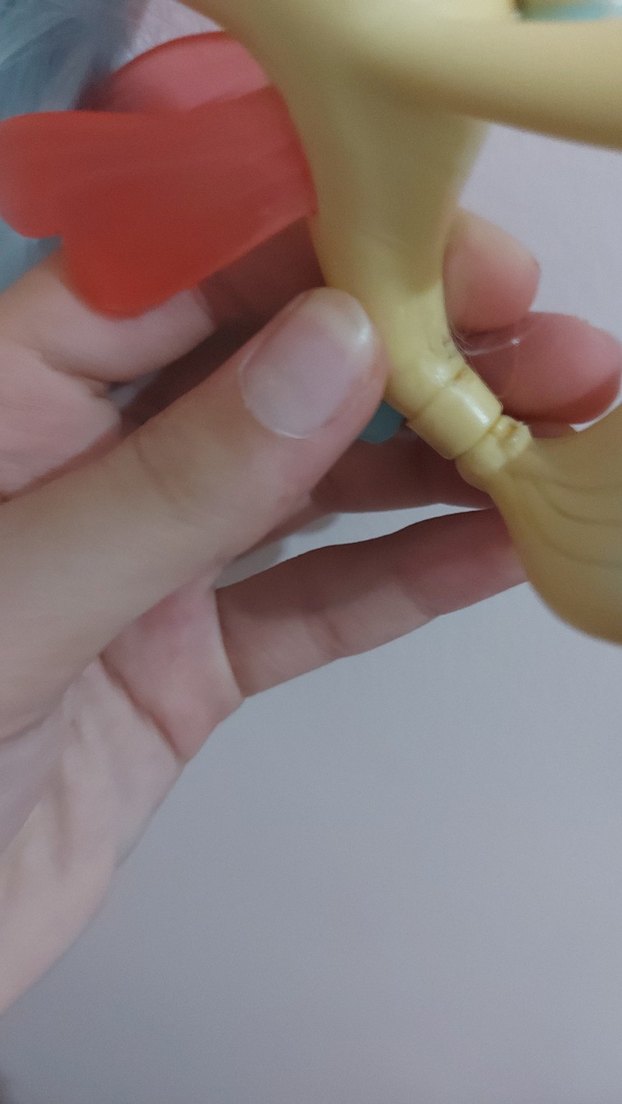 Skystar deniz pony'si - Görsel 5