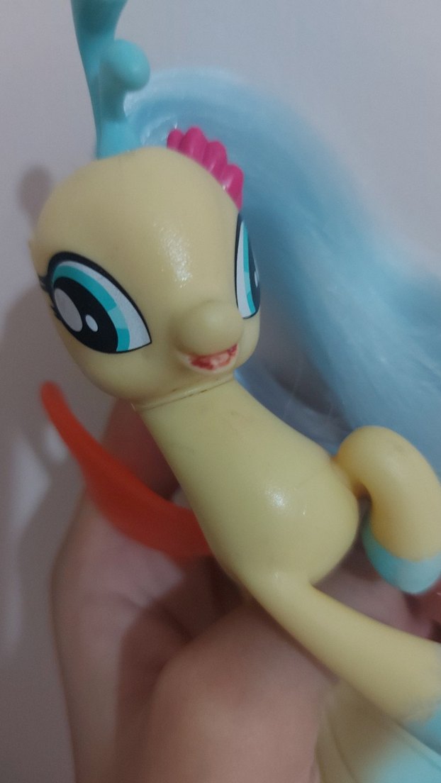 Skystar deniz pony'si - Görsel 4