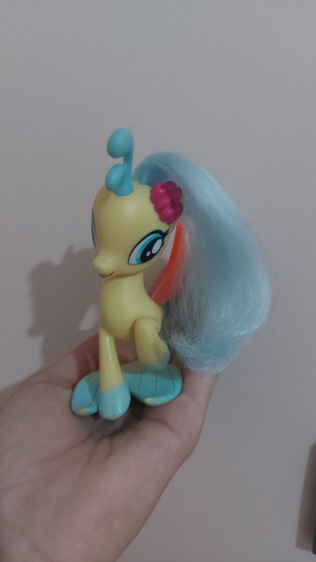 Skystar deniz pony'si - Görsel 2