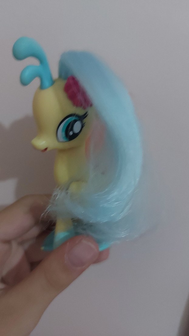 Skystar deniz pony'si - Görsel 3