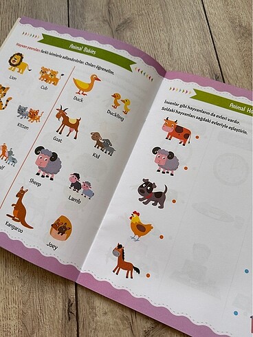 Beden Renk 4 Kitap 60 TL