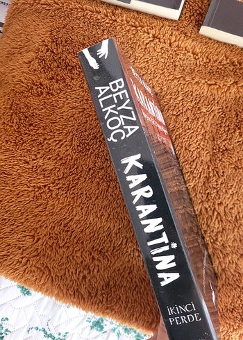 Beyza Alkoç - Karantina Roman Serisi (3 Kitap)