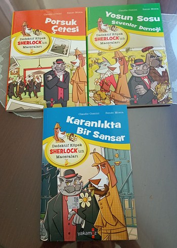 Dedektif Köpek Sherlock'un 3 Kitap Macerası