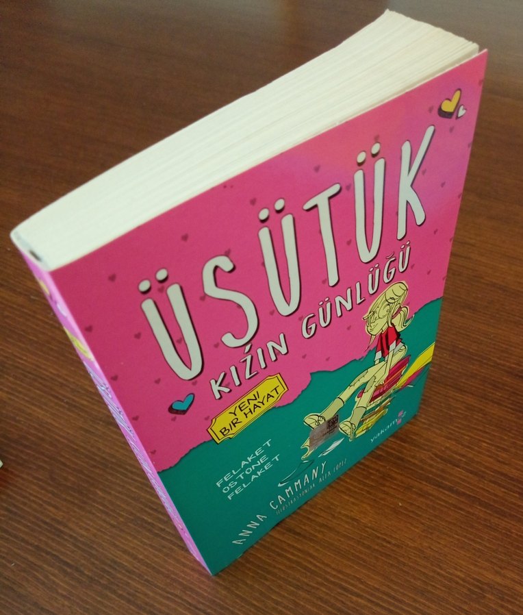 Üşütük Kızın Günlüğü - Yeni Bir Hayat - Görsel 3