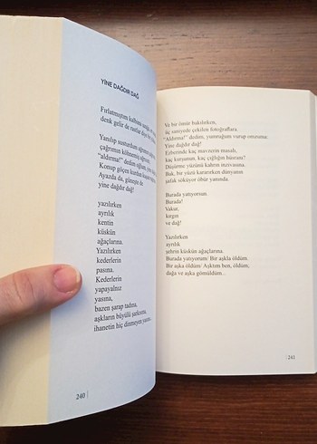 Her Ömür Kendi Gençliğinden Vurulur - Yılmaz Odabaşı - Görsel 5