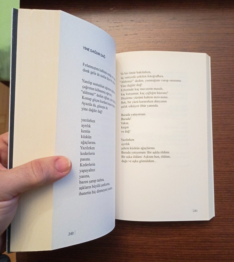 Her Ömür Kendi Gençliğinden Vurulur - Yılmaz Odabaşı - Görsel 5