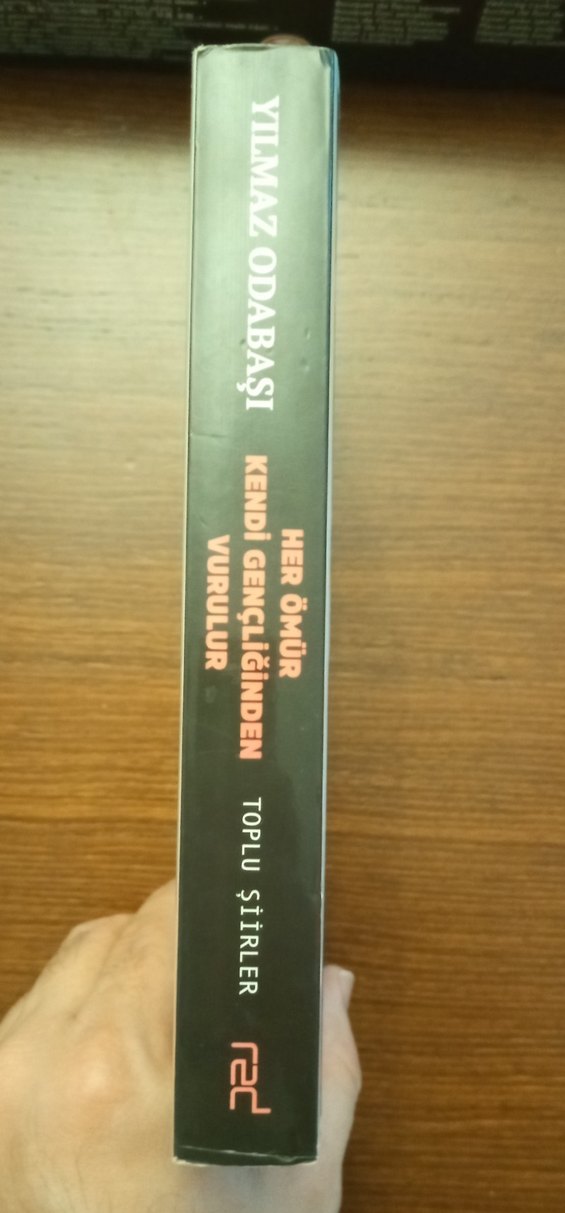 Her Ömür Kendi Gençliğinden Vurulur - Yılmaz Odabaşı - Görsel 3