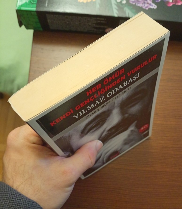 Her Ömür Kendi Gençliğinden Vurulur - Yılmaz Odabaşı - Görsel 4