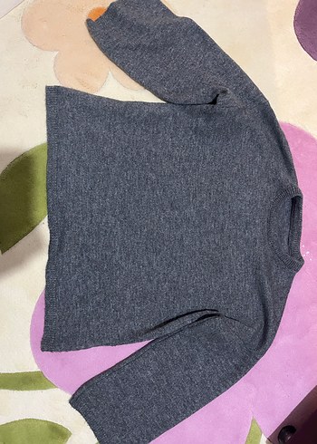 Western Digital diğer