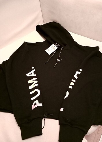 Puma crop